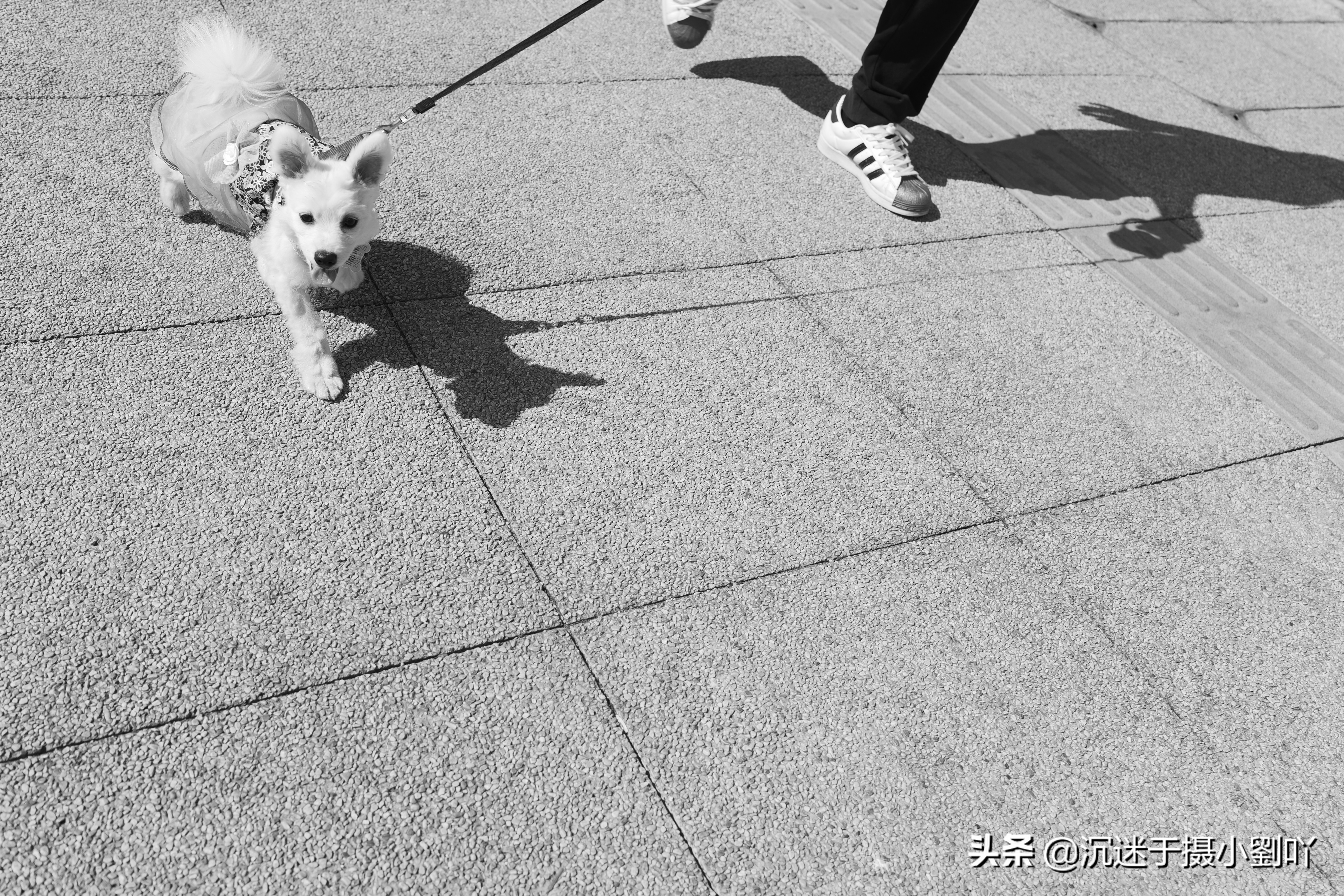 2021成都记忆之高新镜头