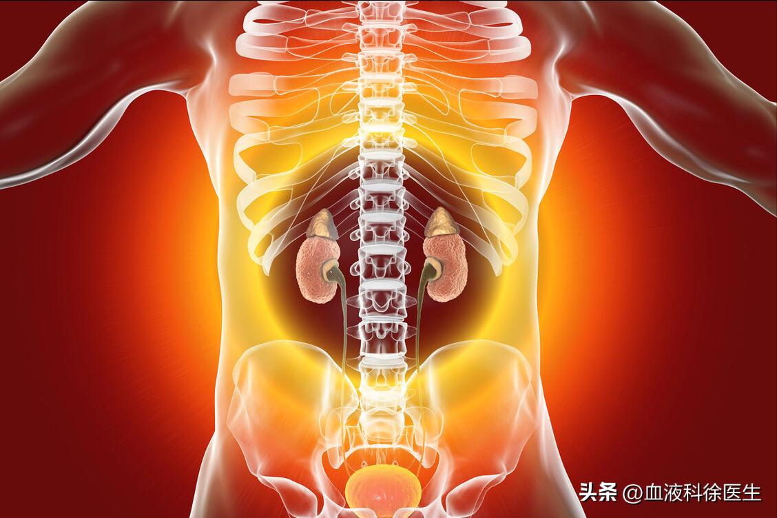 肾衰竭有这5个征兆不痛不痒,肾衰竭为什么就不排水了