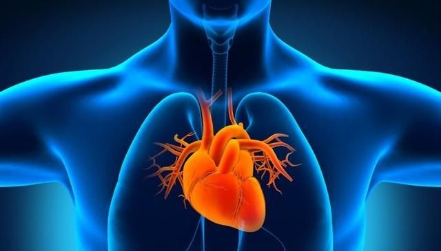 基于“阴病治阳”理论，探析针刺法治疗冠心病的作用