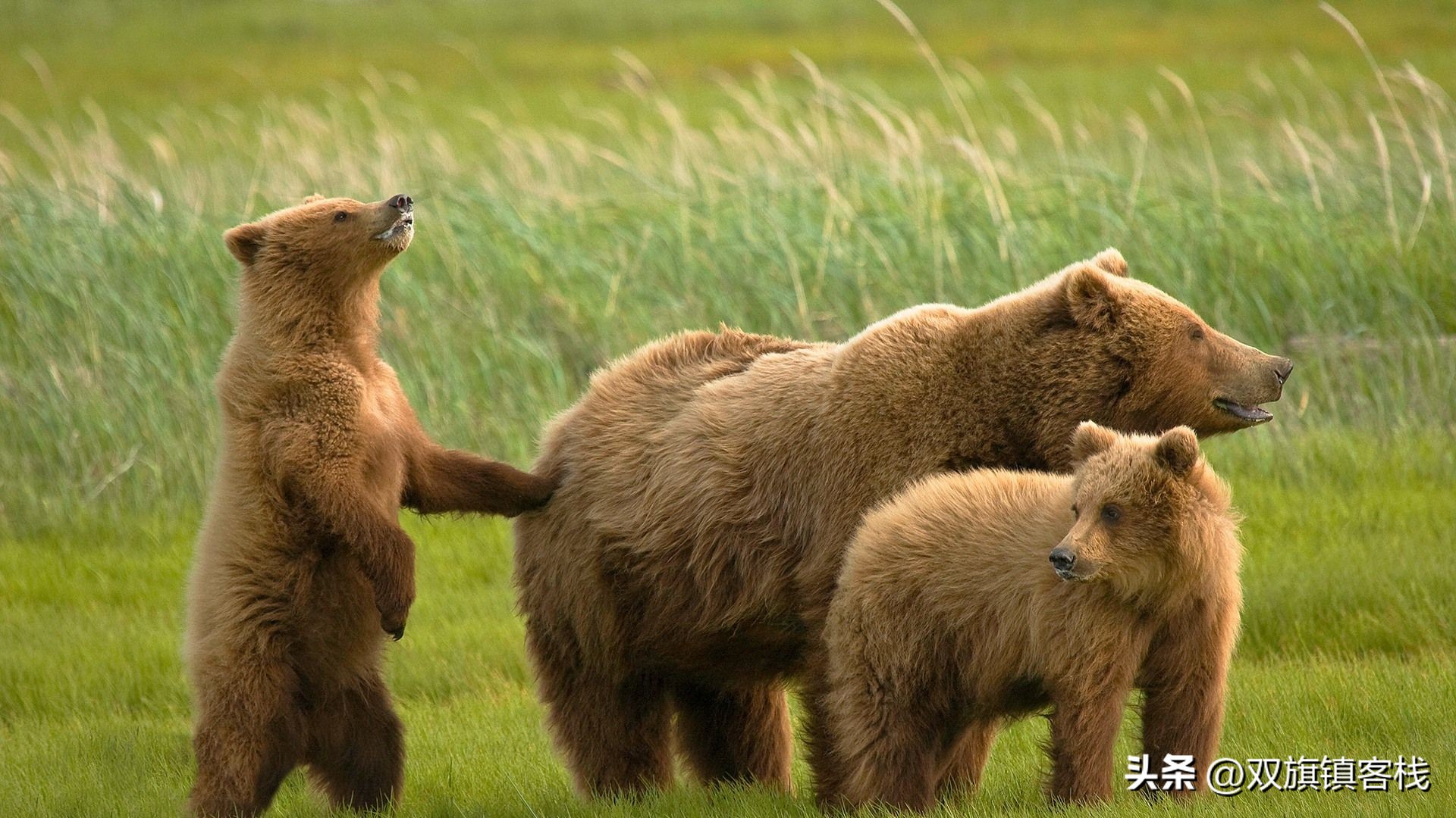 为人师表，不可救药？你到底从哪个角度看待问题，这很关键！