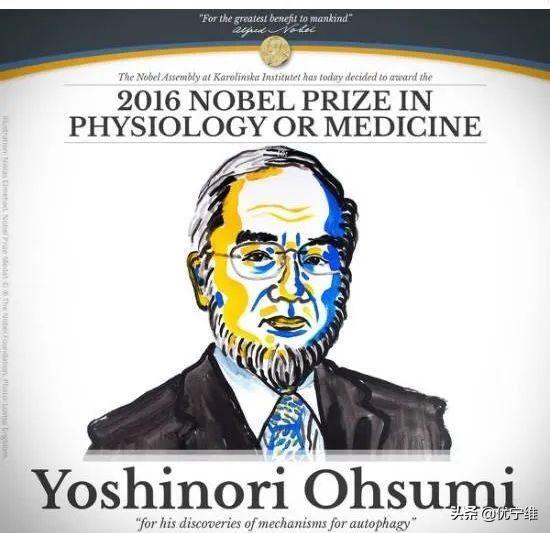 lc3自噬标记物,lc300有哪些隐藏功能