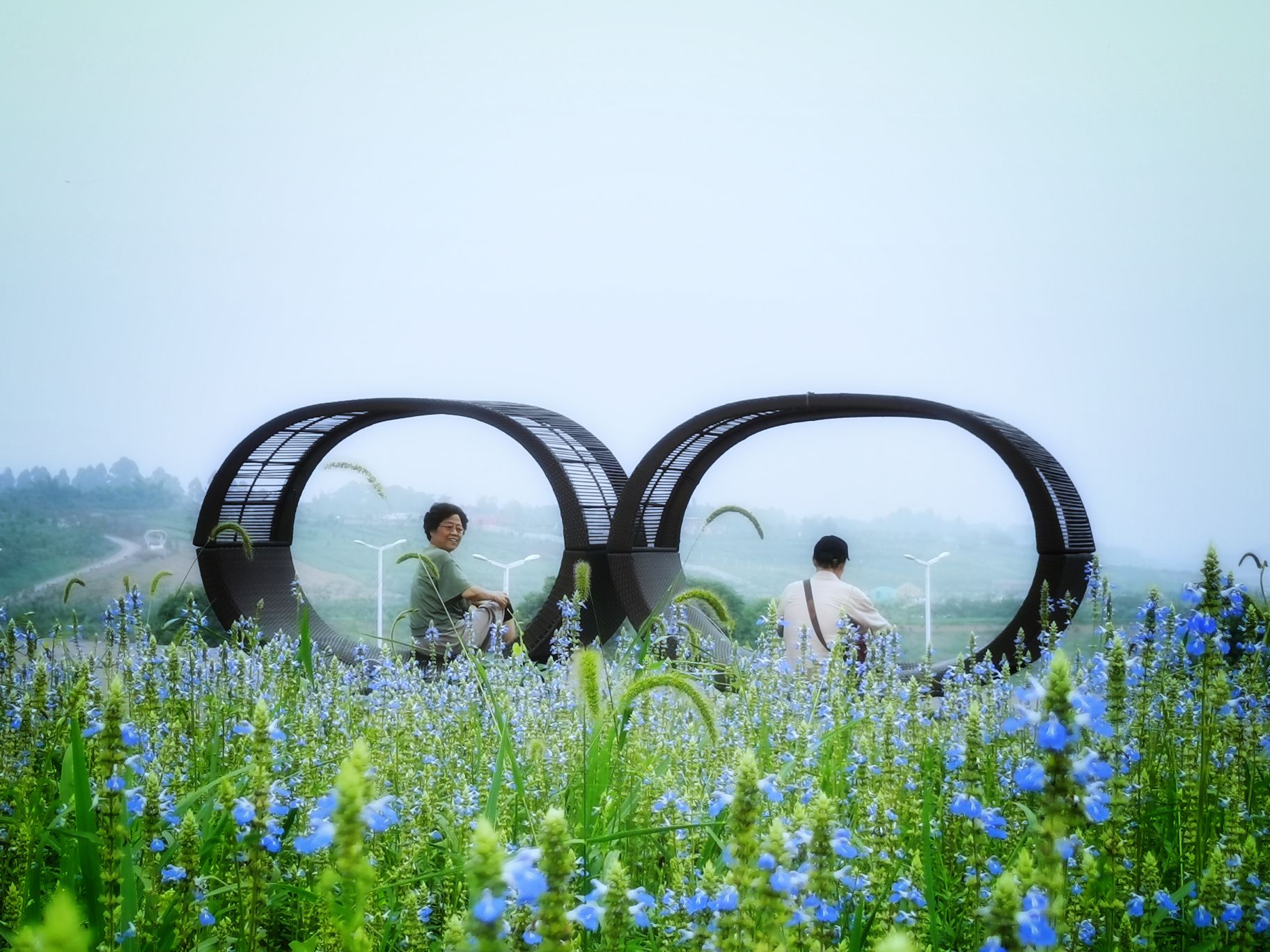 城市日新月异的感悟,城市变化的短评