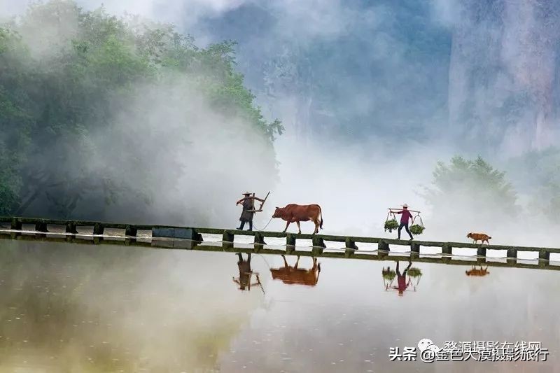 古堰瓯江帆影,古堰画乡赏瓯江帆影攻略