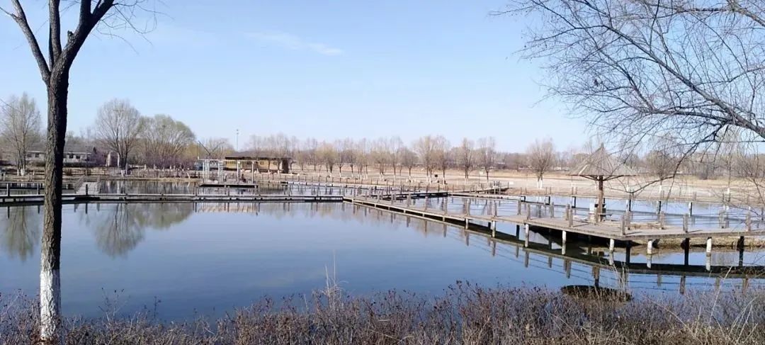 原创|2022迟到的春天之约