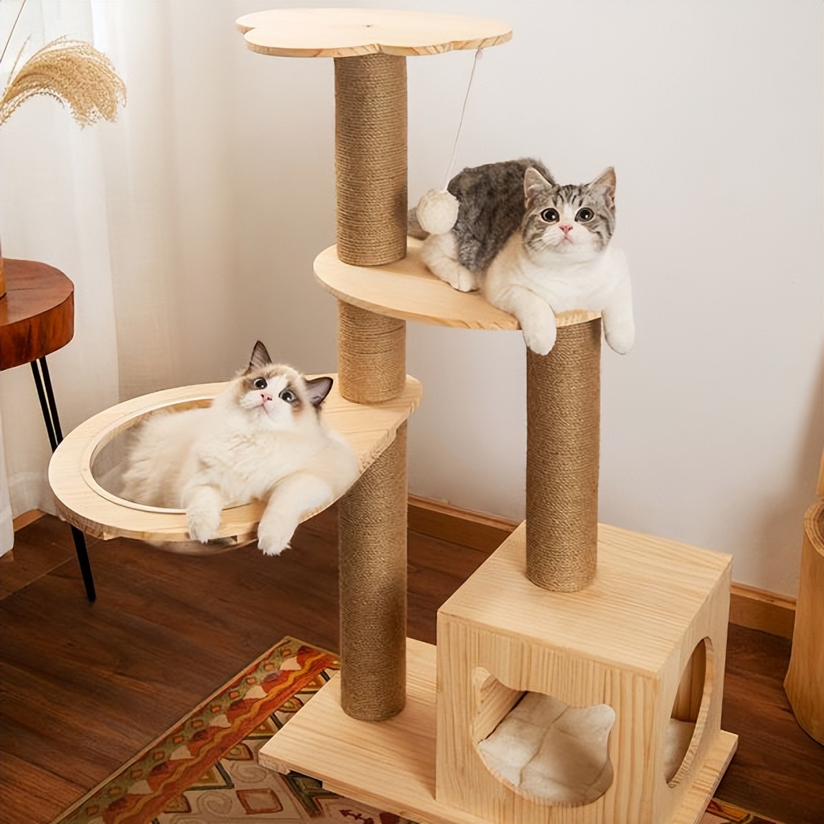 猫咪喜欢玩什么玩具图片,猫咪喜欢的玩具有哪些