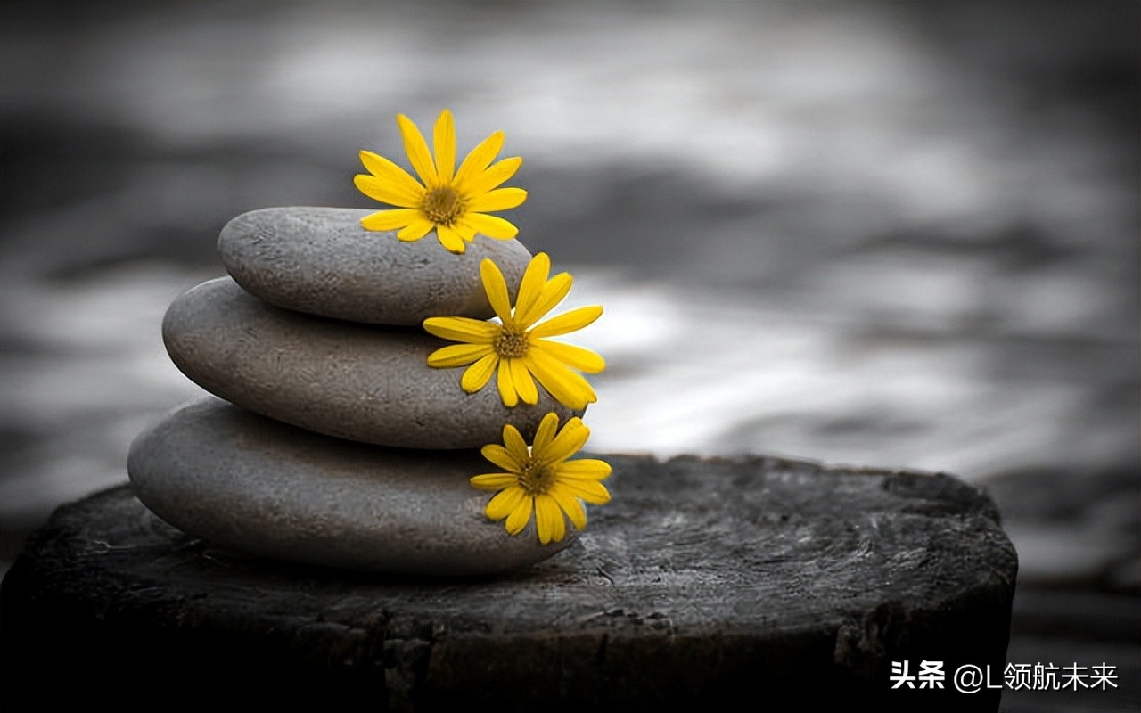 人生百般滋味人生需要笑对谁说的,生活百般滋味你要笑着面对图