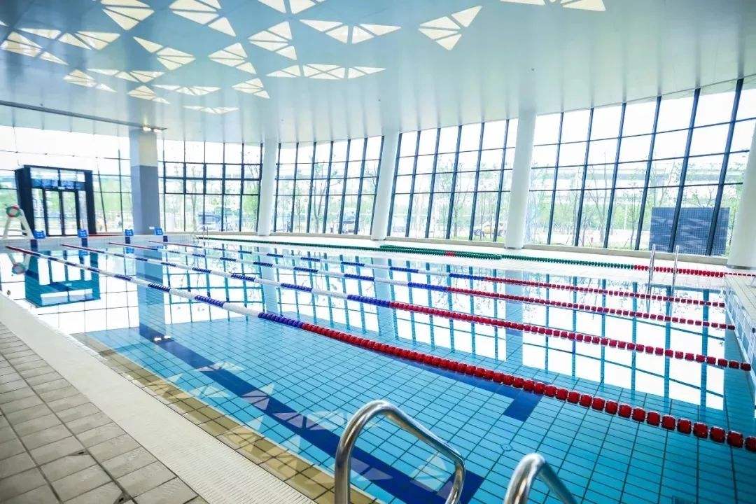 杭州亚运会棋类比赛场馆智力大厦,杭州第19届亚运会精彩赛事