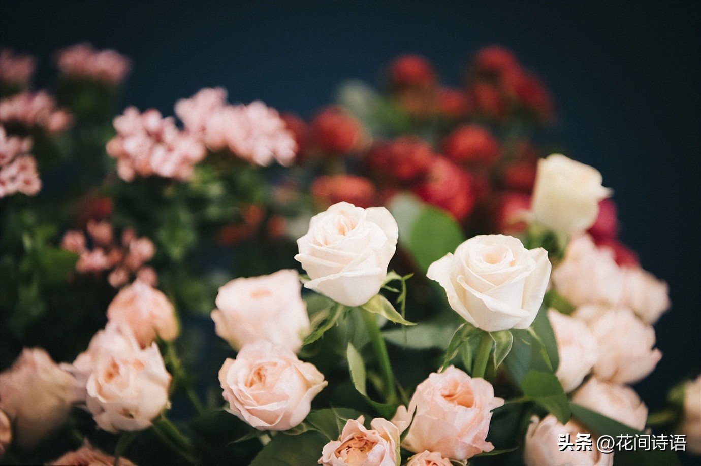 520送什么鲜花最好看,520送鲜花和什么花合适