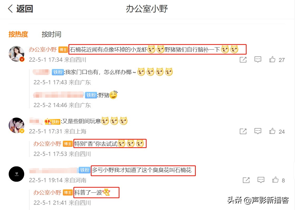 办公室小野视频中国美食,美食达人排行榜办公室小野