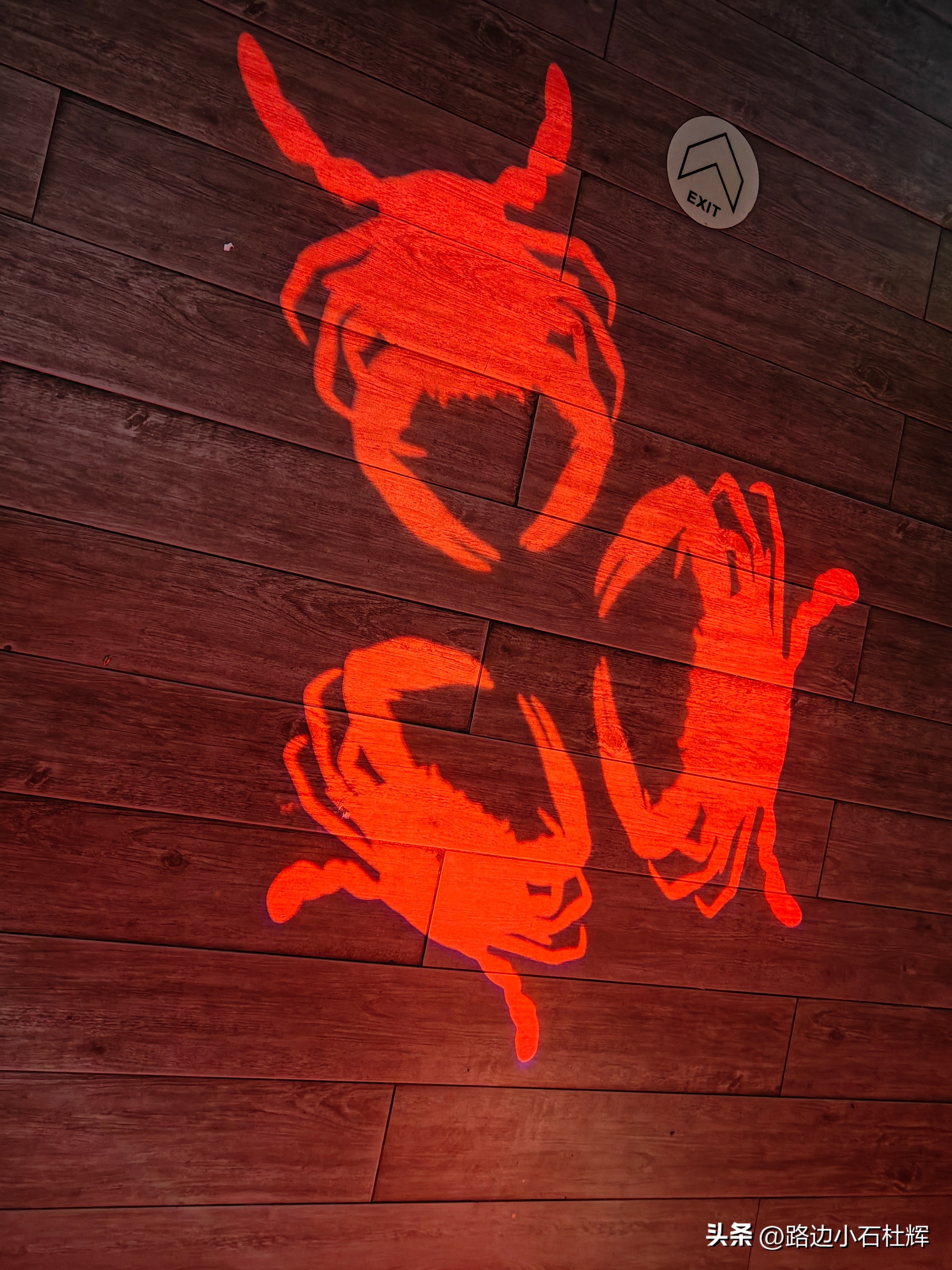 游逛人间,北京海洋馆旅游攻略