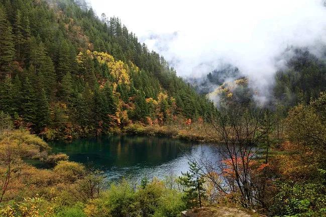 成长的毅力与韧性,成长和毅力