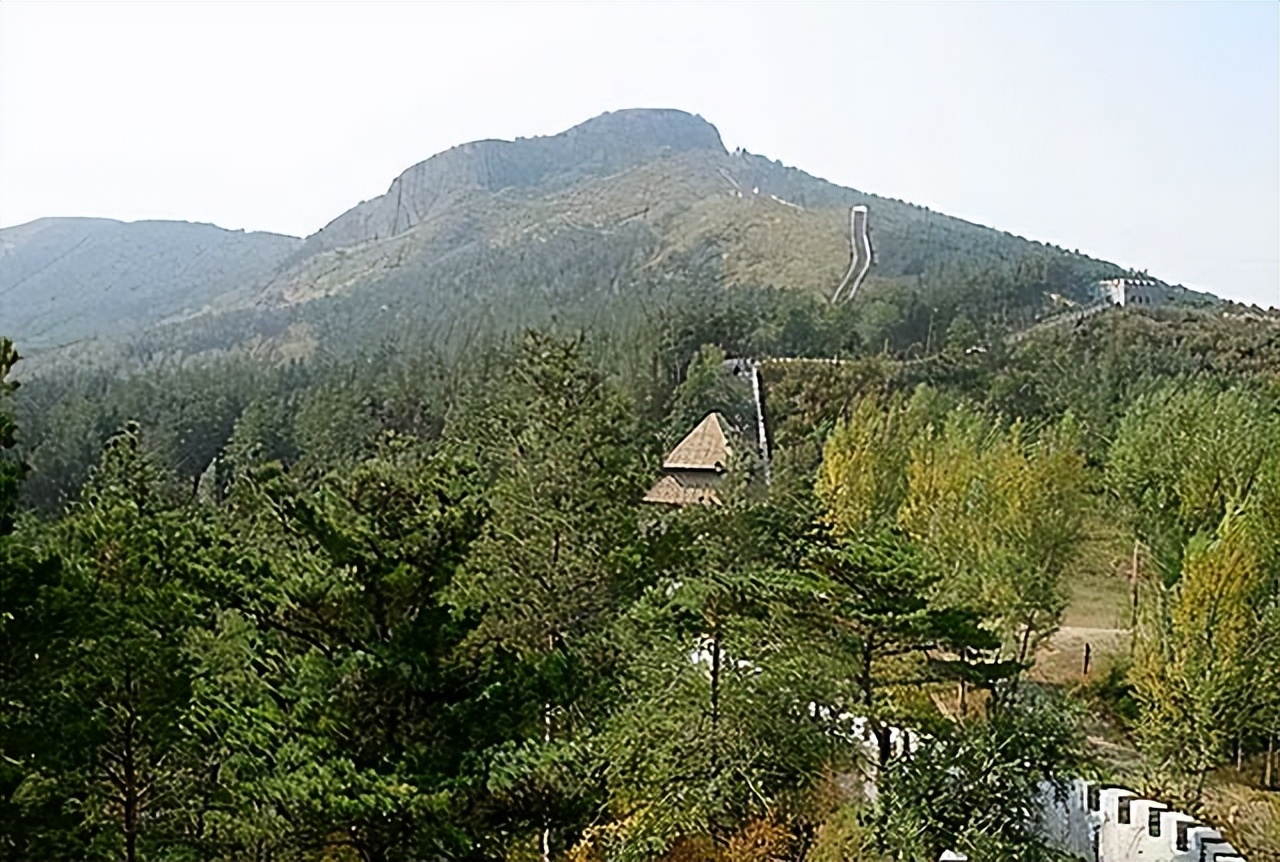 杨子荣之子杨克武,关于杨子荣的主要事件