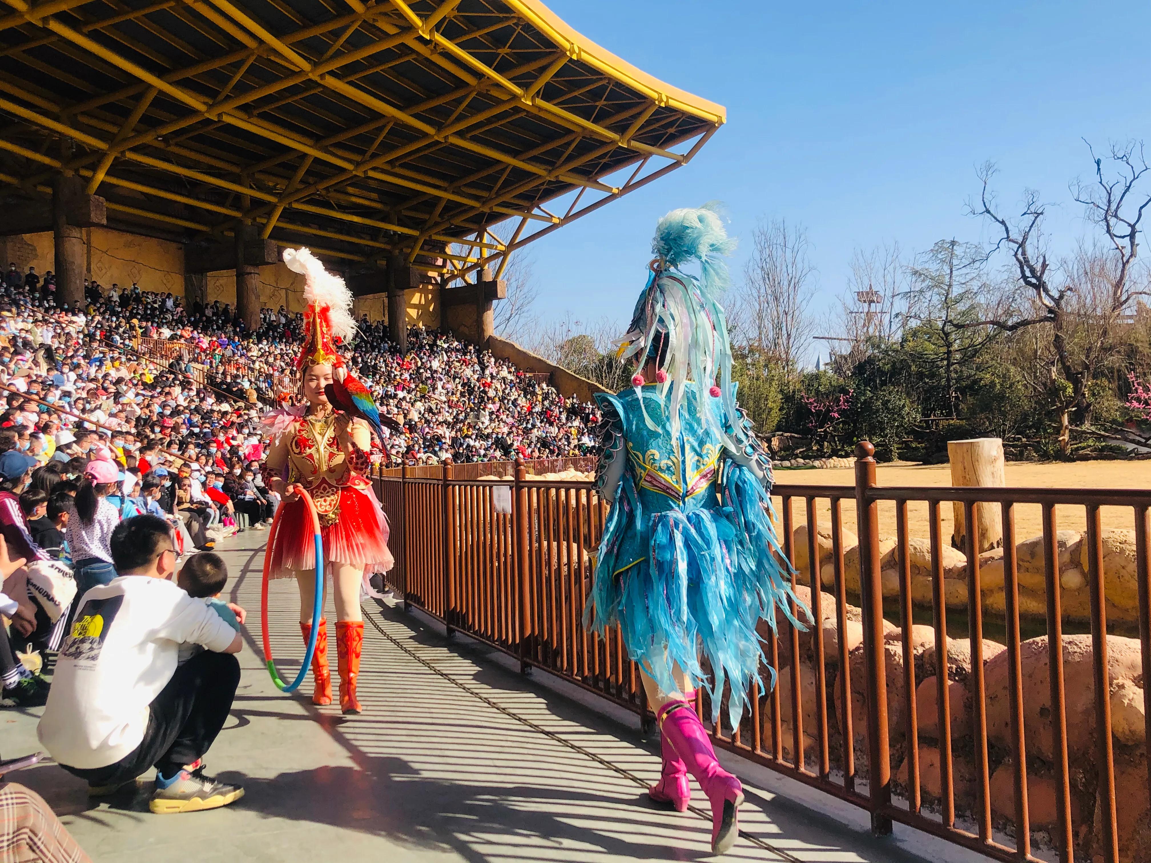 银基动物王国最强游玩攻略,银基动物王国游玩最详细攻略