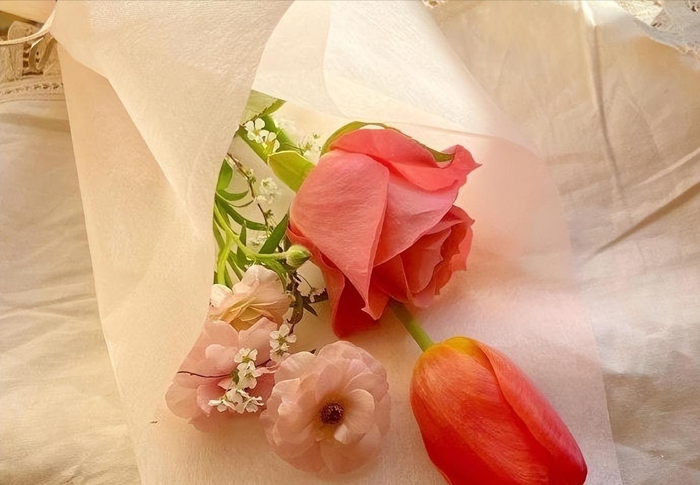 两性之间女人最需要的是什么,两性之间的相处模式女人爱你