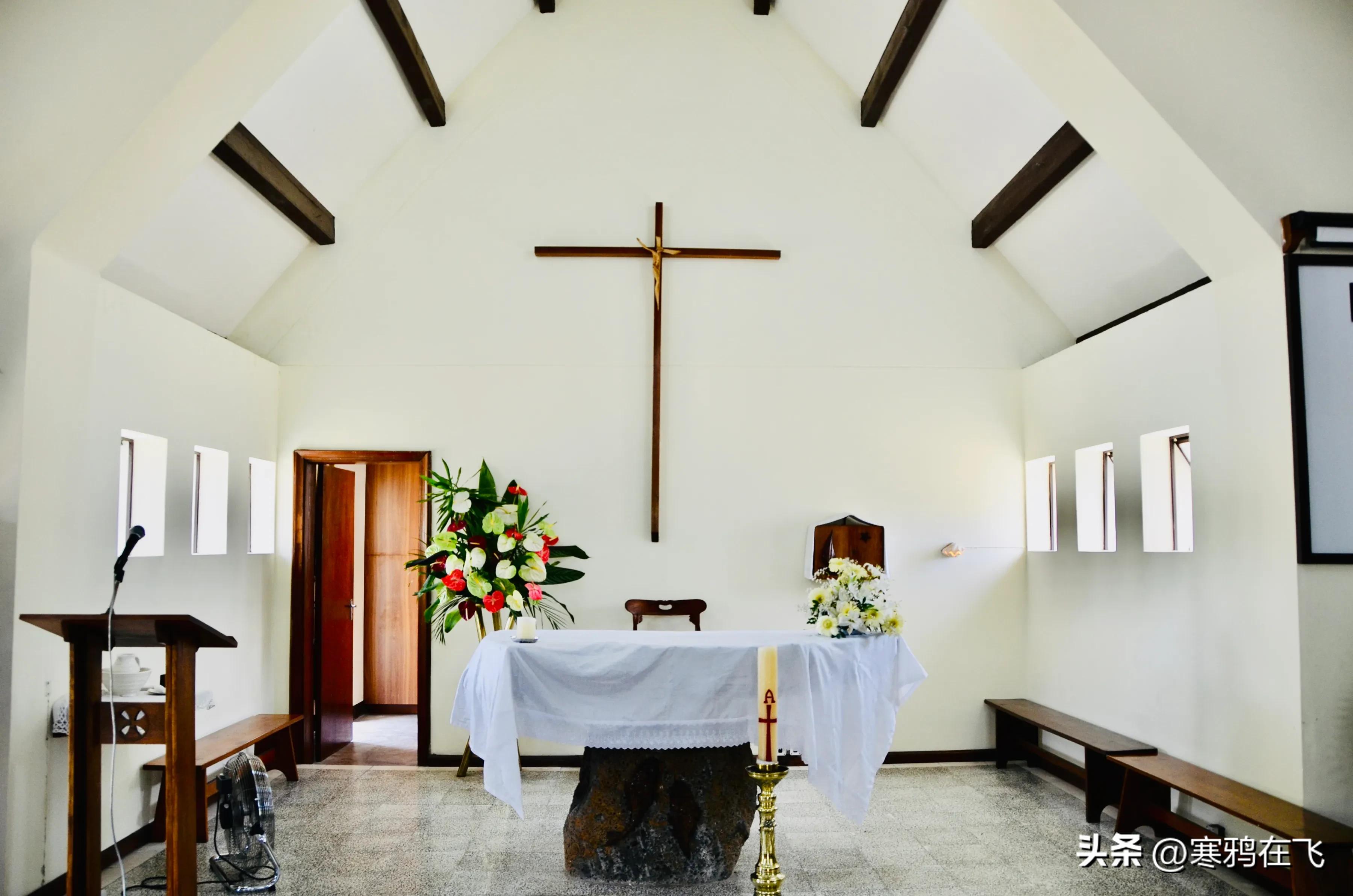 毛里求斯鹦鹉灭绝时间,毛里求斯有许多渡渡鸟吗