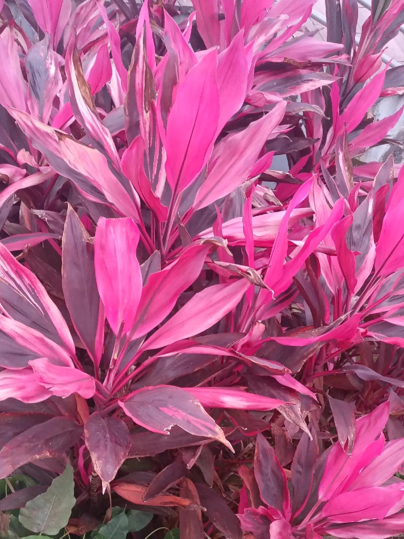 怎样看清男友的真实面目,如何看清一个人的真面目