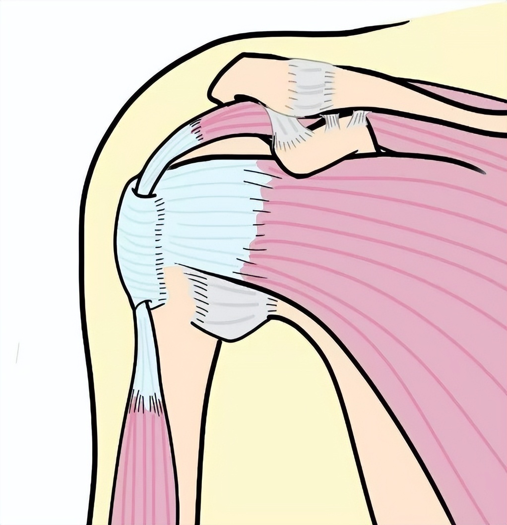 手臂抬举就酸胀是什么原因,手臂抬举肩膀就痛是什么原因