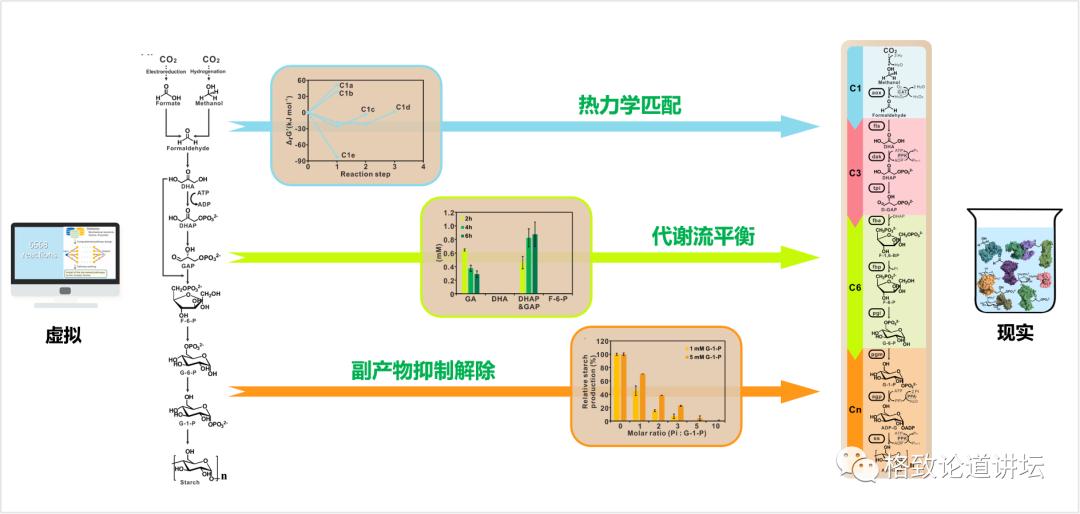 二氧化碳变成淀粉靠谱吗,用二氧化碳合成的淀粉怎样吃