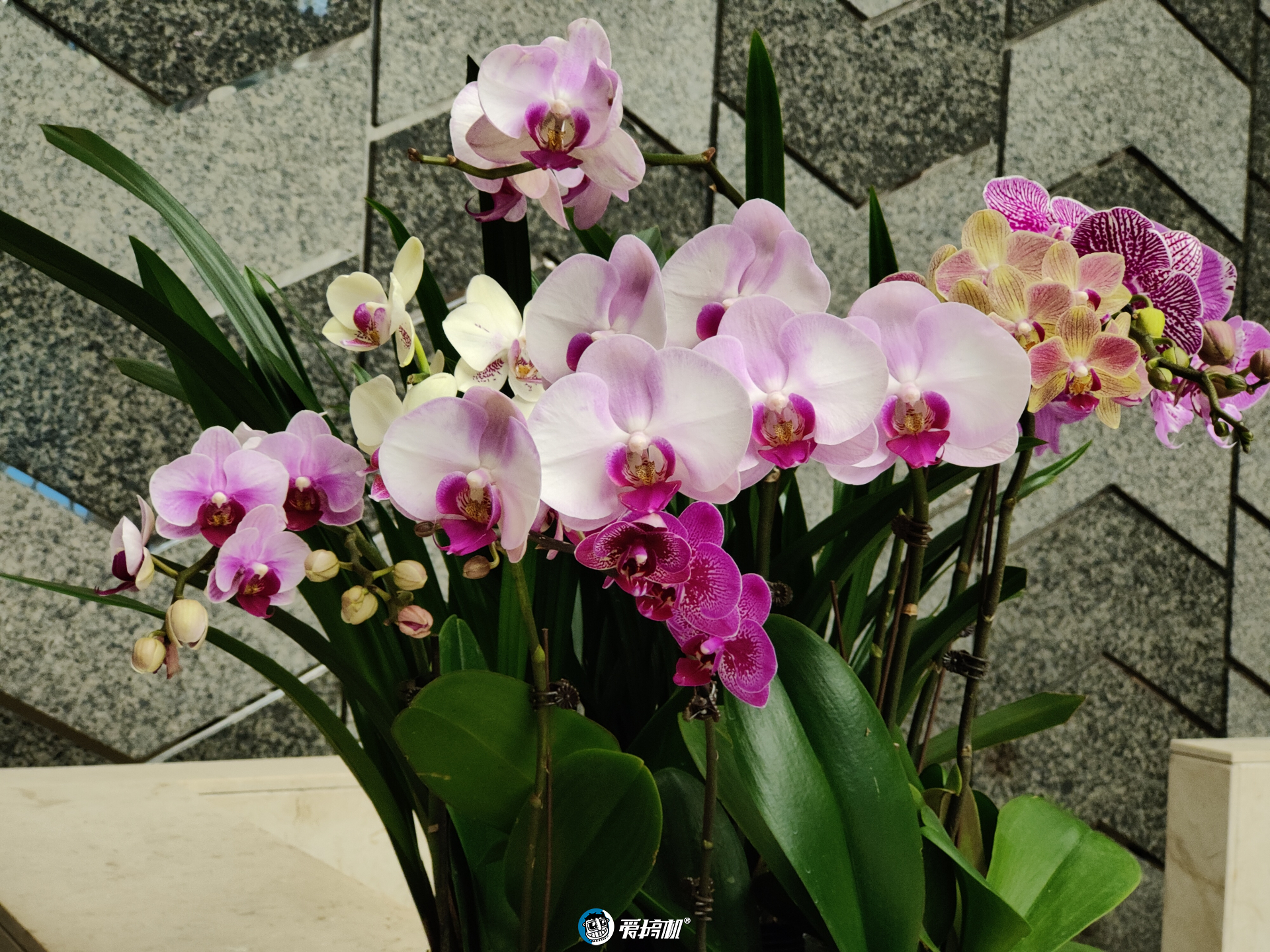 oppofindn折叠旗舰优点与缺点,oppofindn7699