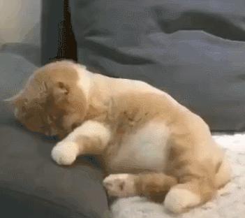 “易孕体质是种什么样的感受？”哇哈哈哈哈太真实了: