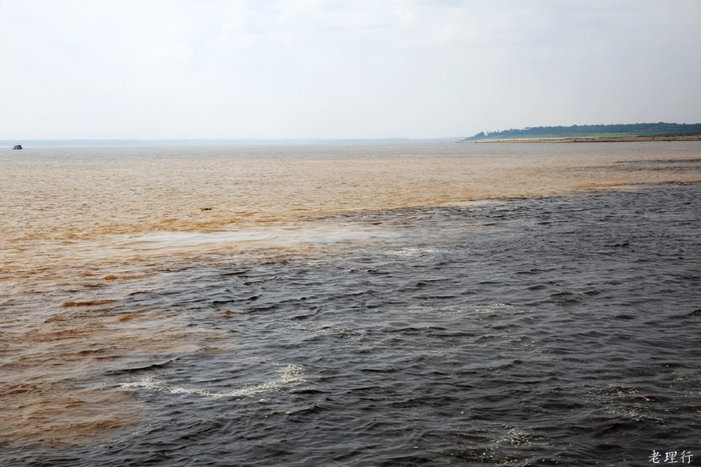 南美四国之旅,巴西亚马逊之行