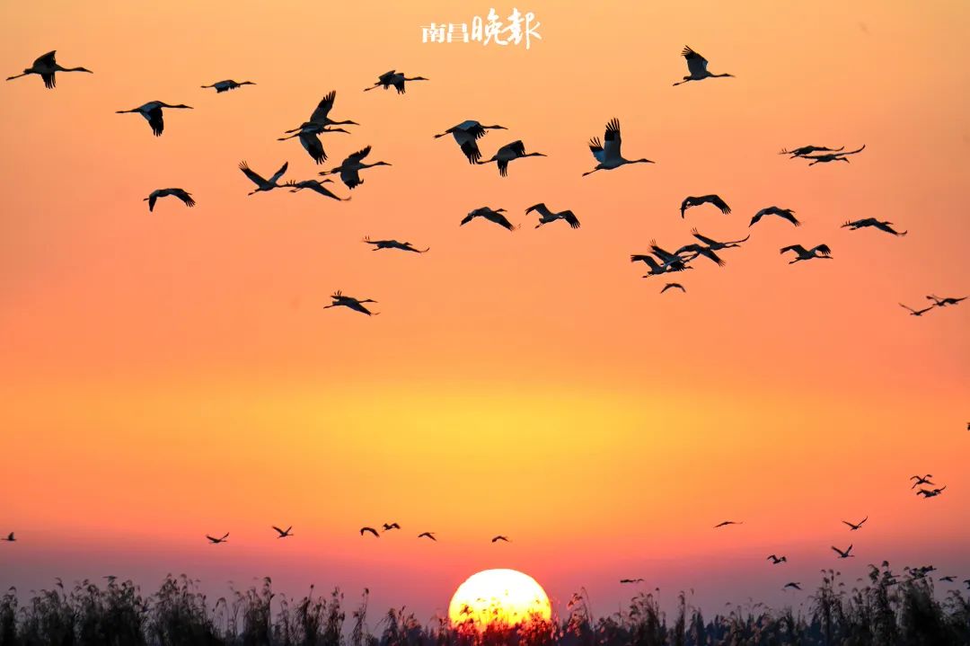 南昌的秋天文案,南昌的秋天闪闪发光