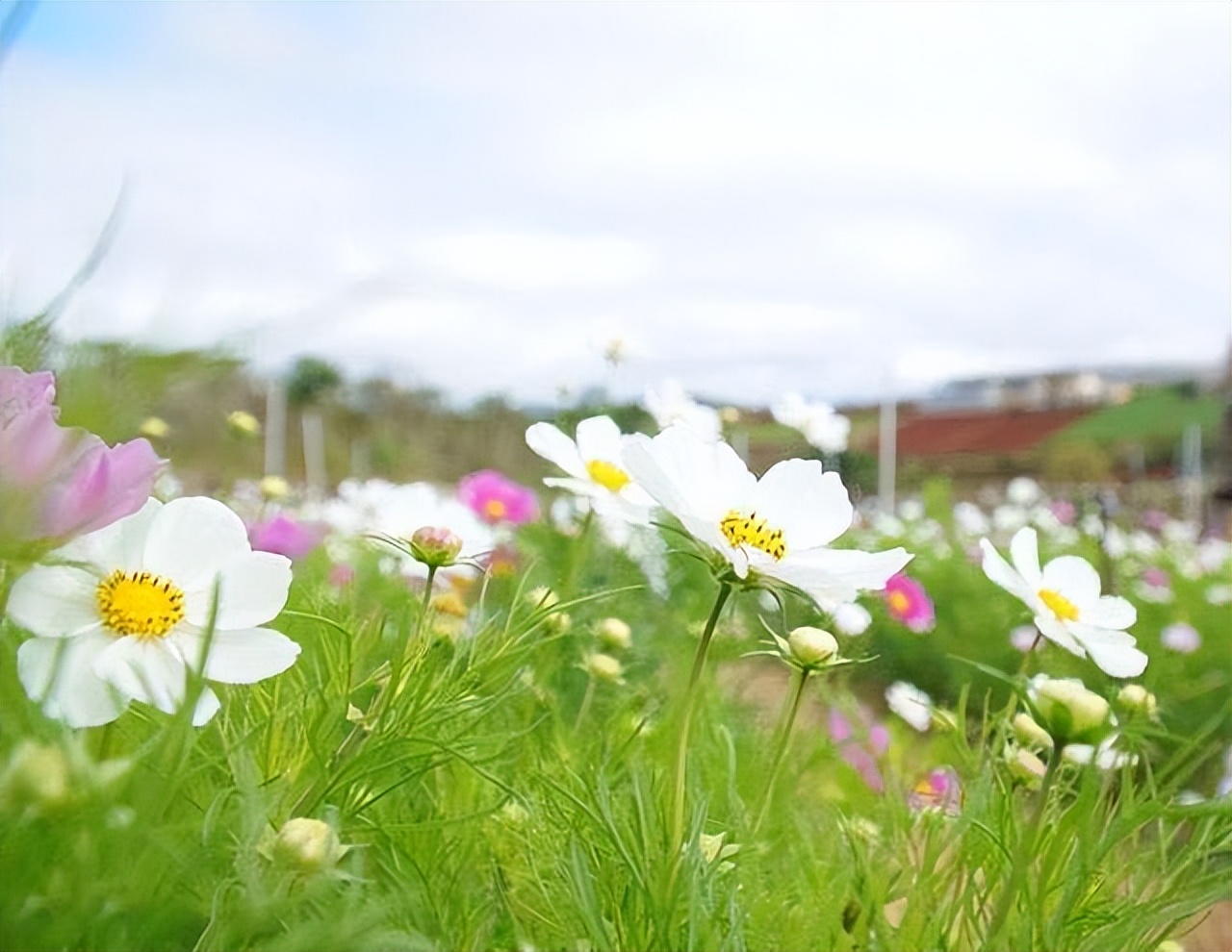 暧昧后说做朋友的都是烂人,和暧昧过的人不可以再联系
