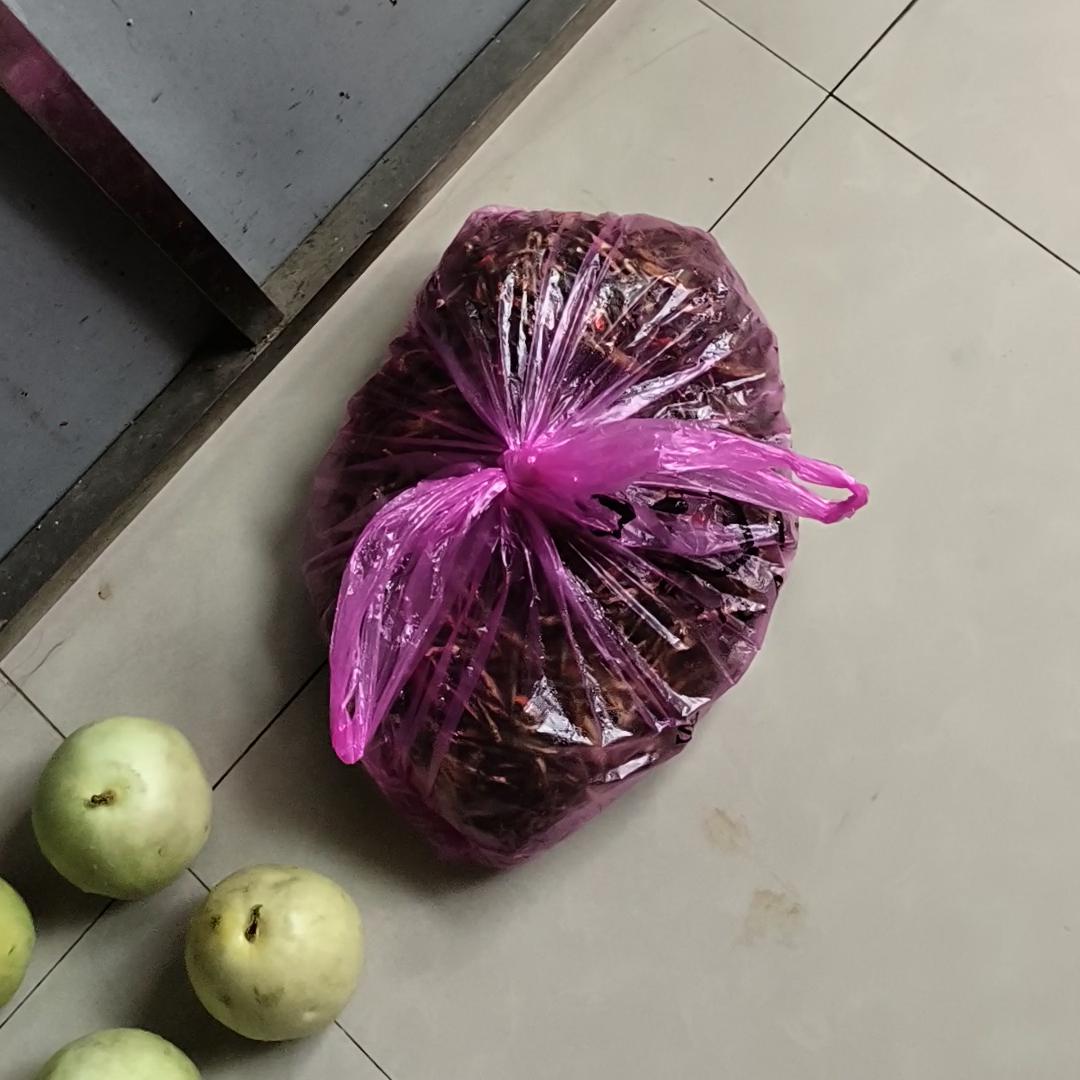 谁知道这是什么蘑菇,谁知道这是什么动漫