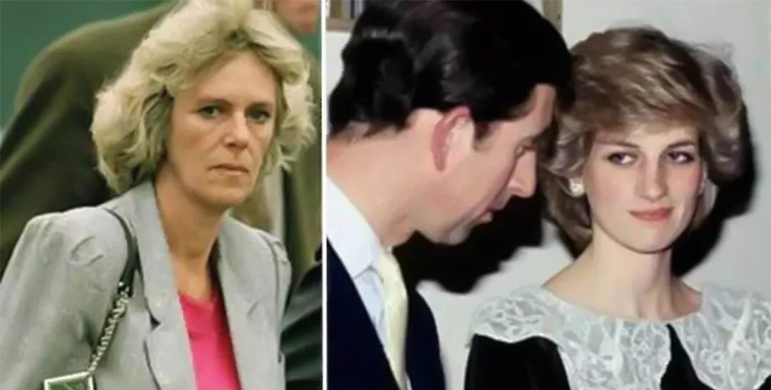 多迪和戴安娜的关系,多迪和戴安娜年龄