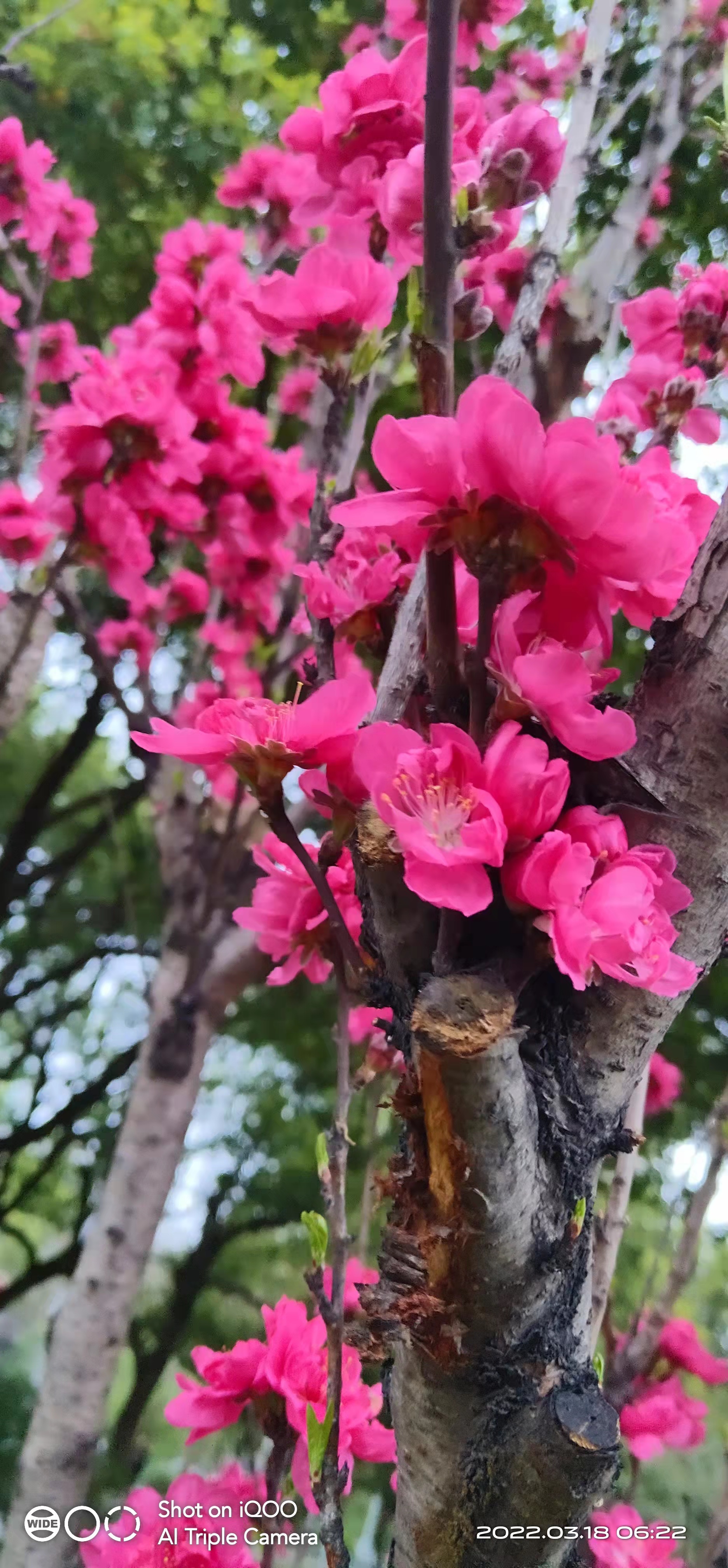 萧山风景拍照打卡地,萧山网红打卡景点春季
