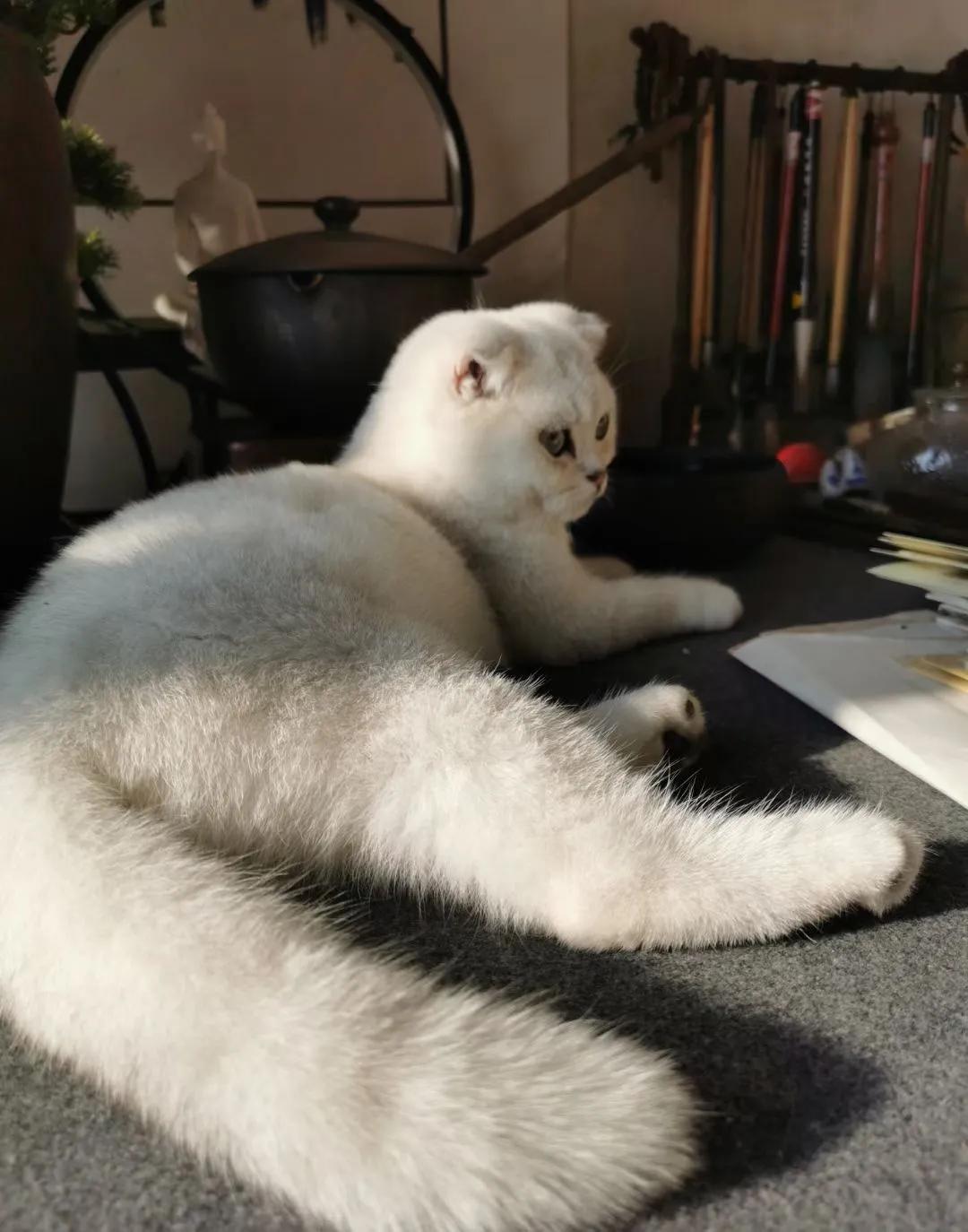 人生如棋走好属于你的那一步,人生如棋局每走一步不许回头