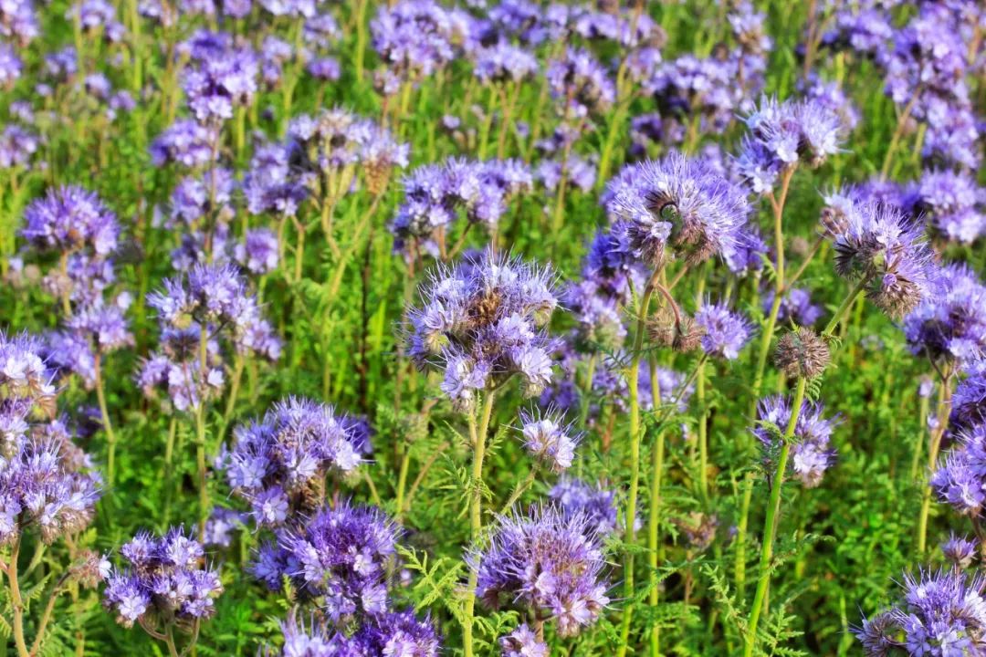 开车去欧洲的路上视频,开车去欧洲的完整视频