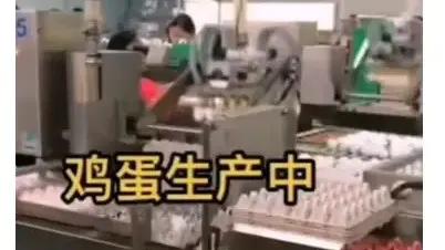 人造鸡蛋的成本要多少钱一个,人造鸡蛋成本只需一毛是真的吗