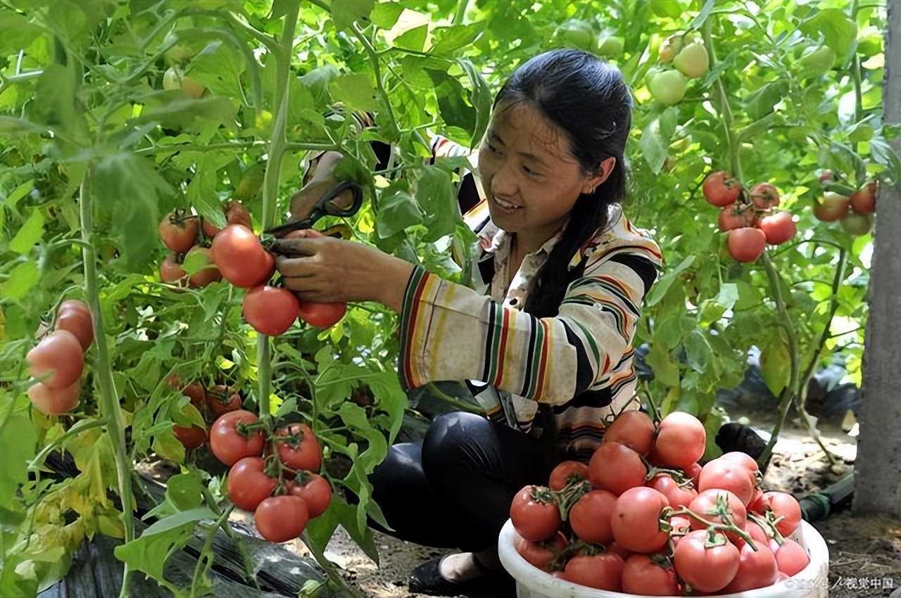 为什么农民做什么也没有挣到钱,为什么农民最辛苦却挣不到钱