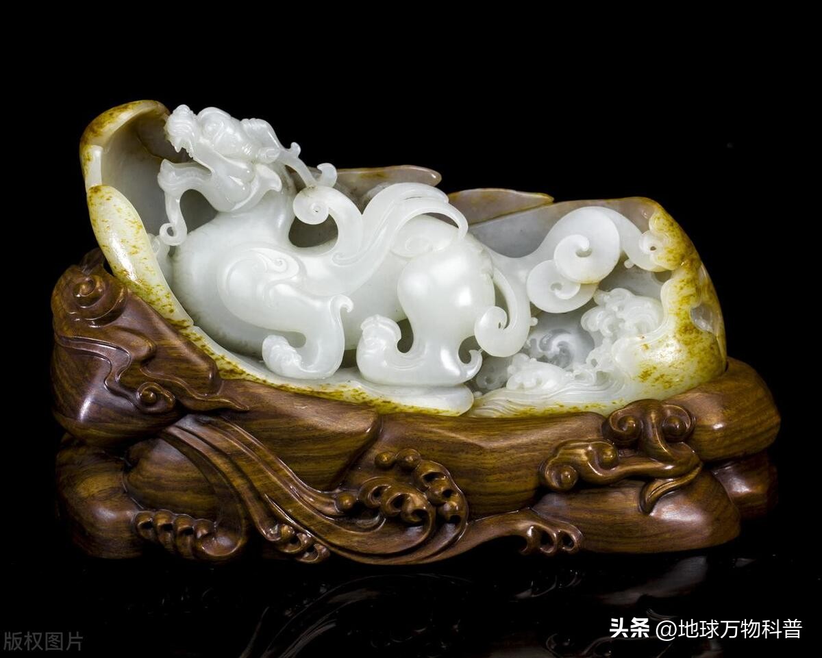 万物知识科普,万物科普解说