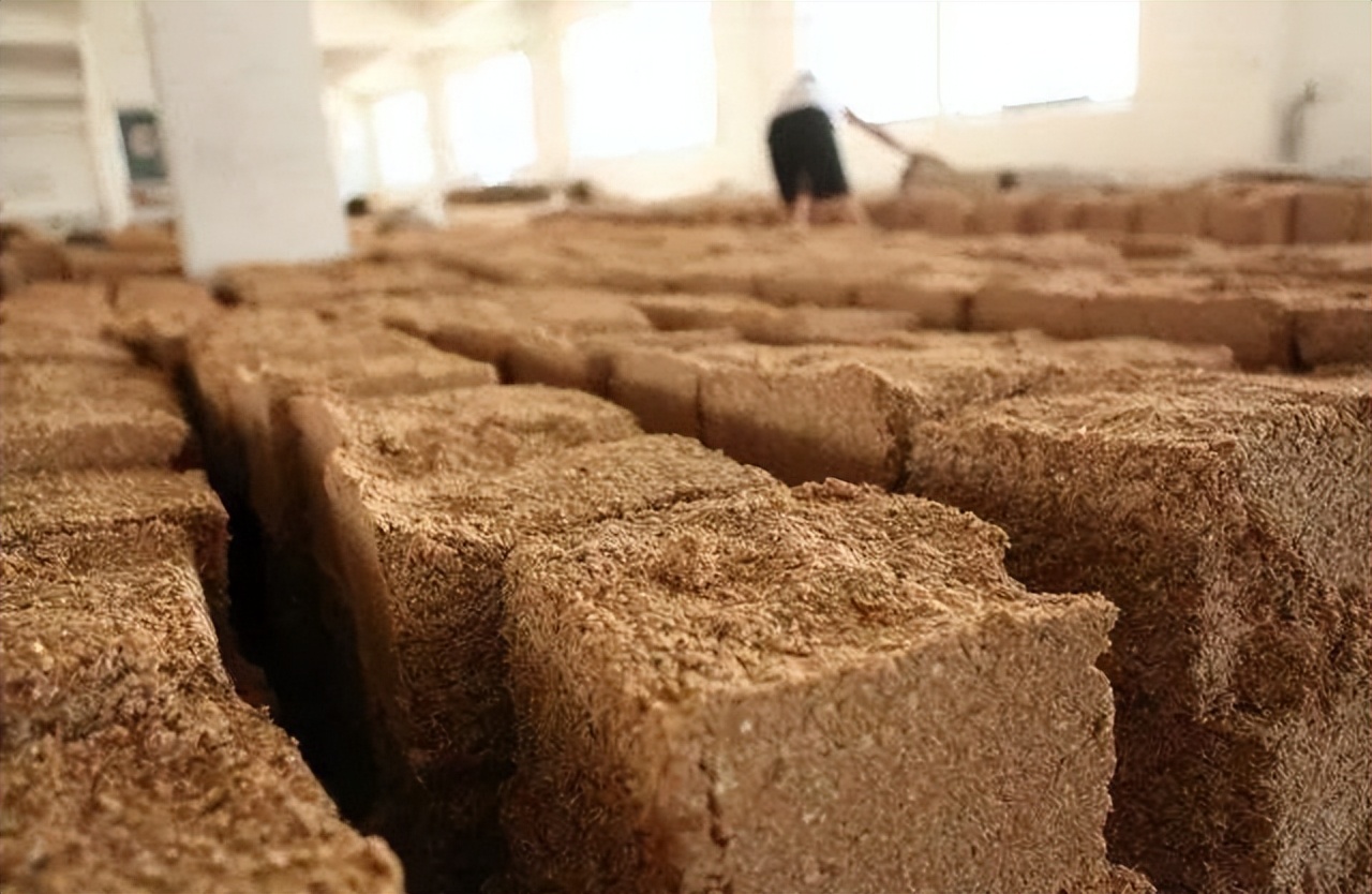 100斤粮食酿酒出酒率,100斤稻谷出27斤52度白酒