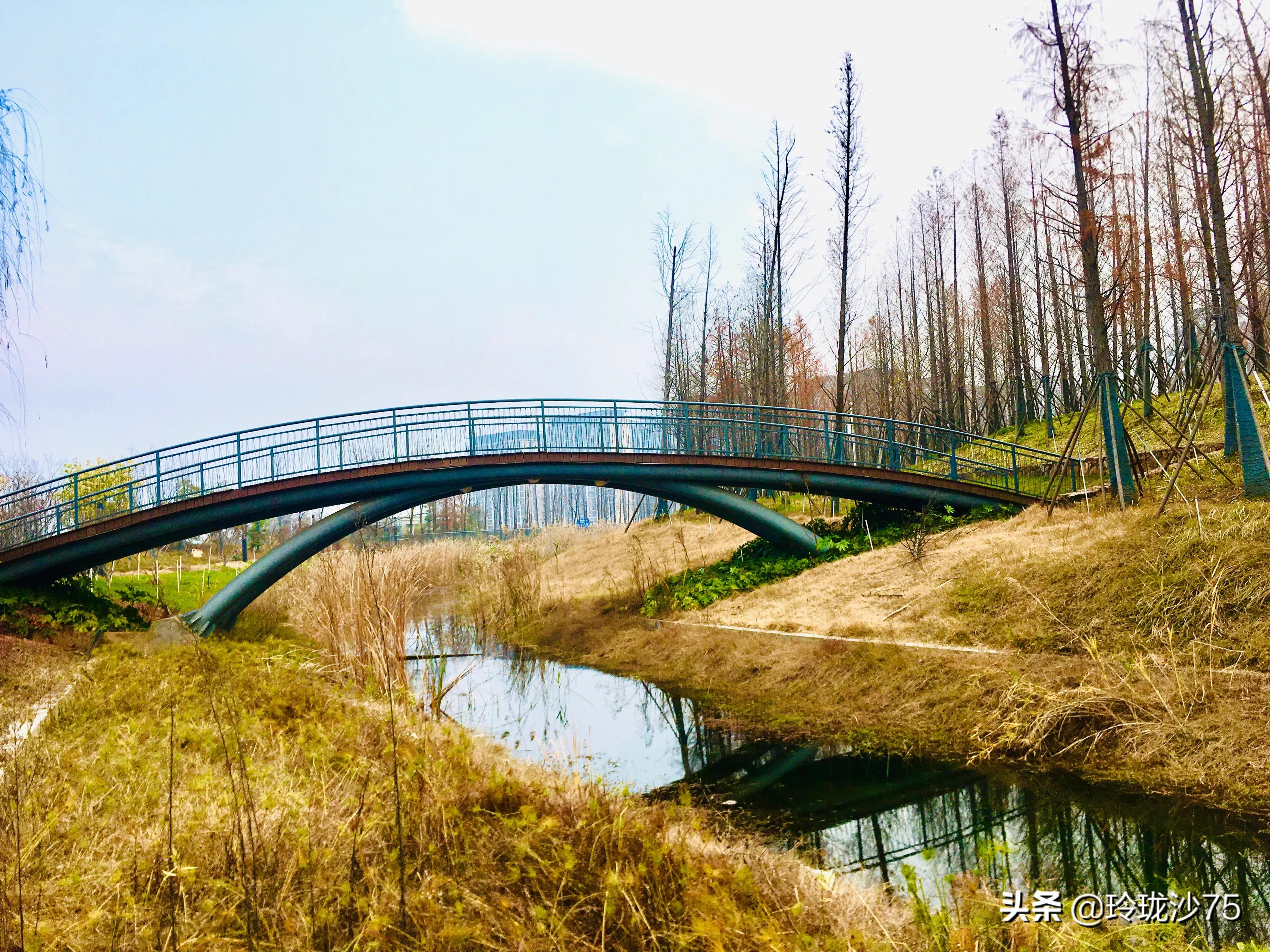 长沙风景美丽的篮球场,长沙王陵公园生态足球场