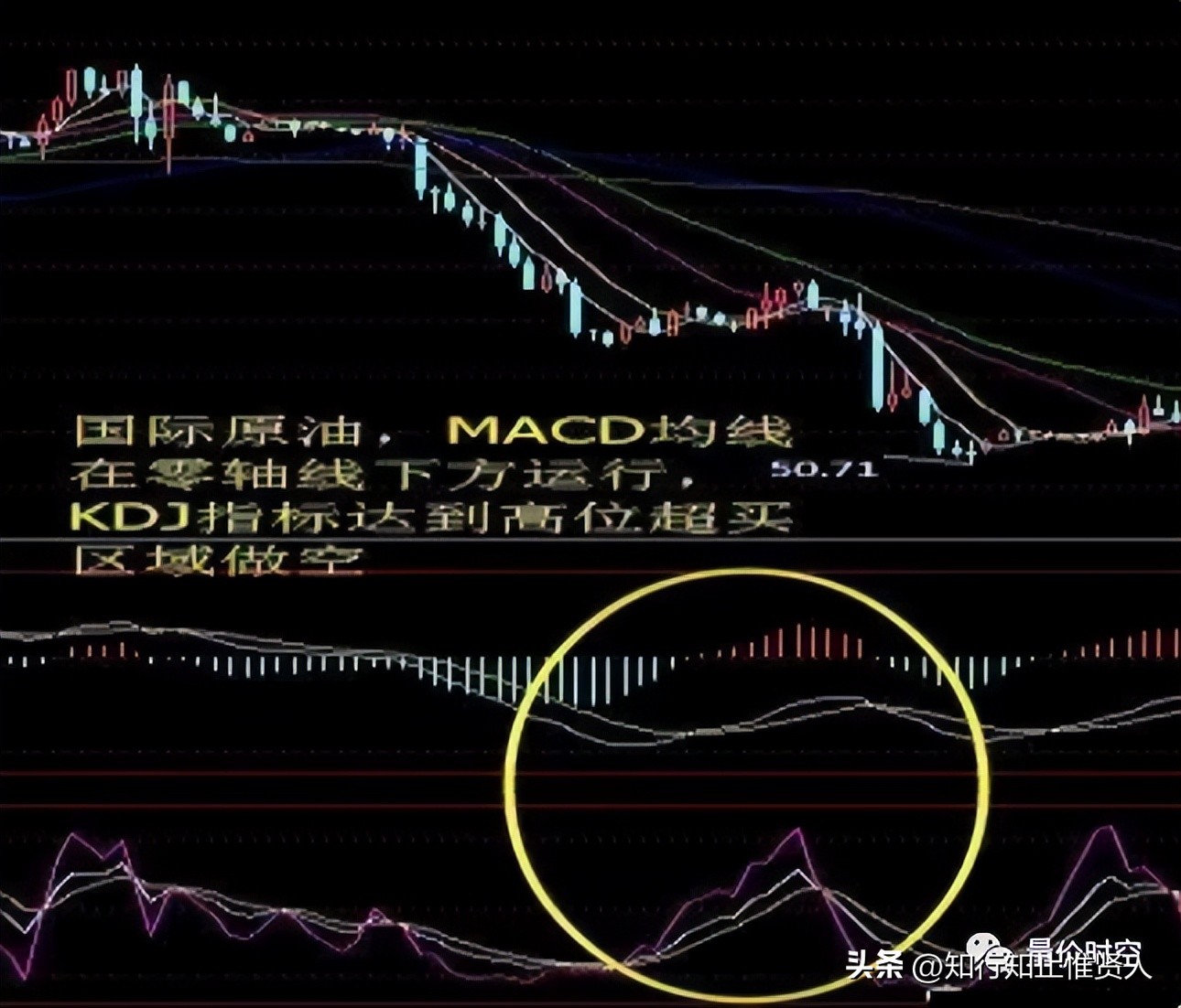 学到极致是什么意思,学到极致便是沧海一粟