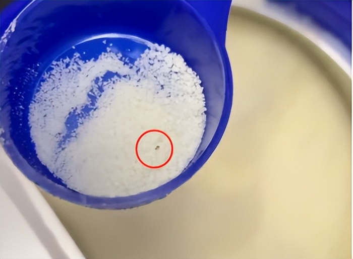 爱他美奶粉中又发现活虫，曾多次因相同问题遭投诉