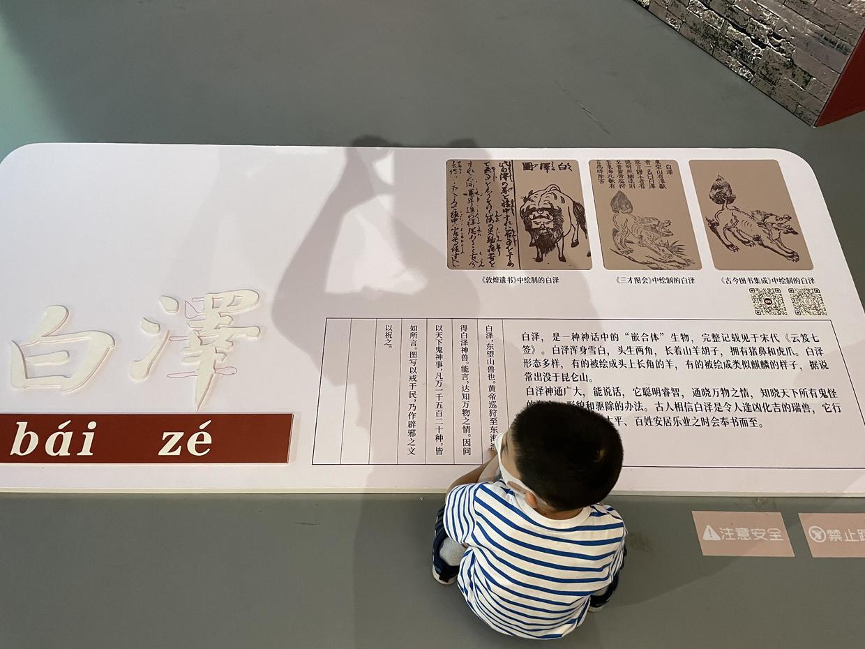 上海自然博物馆参观攻略,上海值得看的自然博物馆