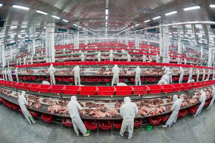 金锣深耕健康肉制品,金锣在肉制品行业取得的成就