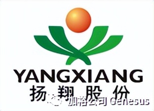 全球生猪养殖企业排名,世界十大牧业集团排名