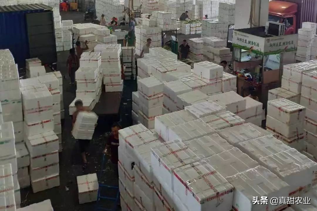 蔬菜供货持续增加菜价季节性下滑,蔬菜倒卖注意事项