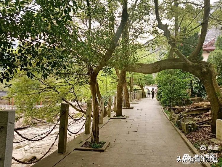 大罗山哪个景区最值得去,人少景美免费景点