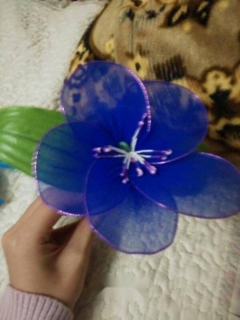 *袜丝**都是塑料做的？为何不能将塑料垃圾回收，重制成*袜丝**售卖呢？