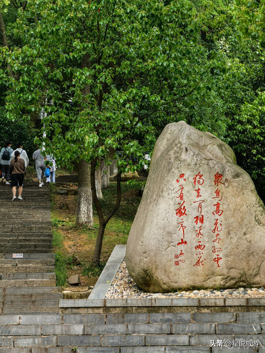 跟着唐诗去旅行100首,跟着唐诗去旅行讲的五首古诗