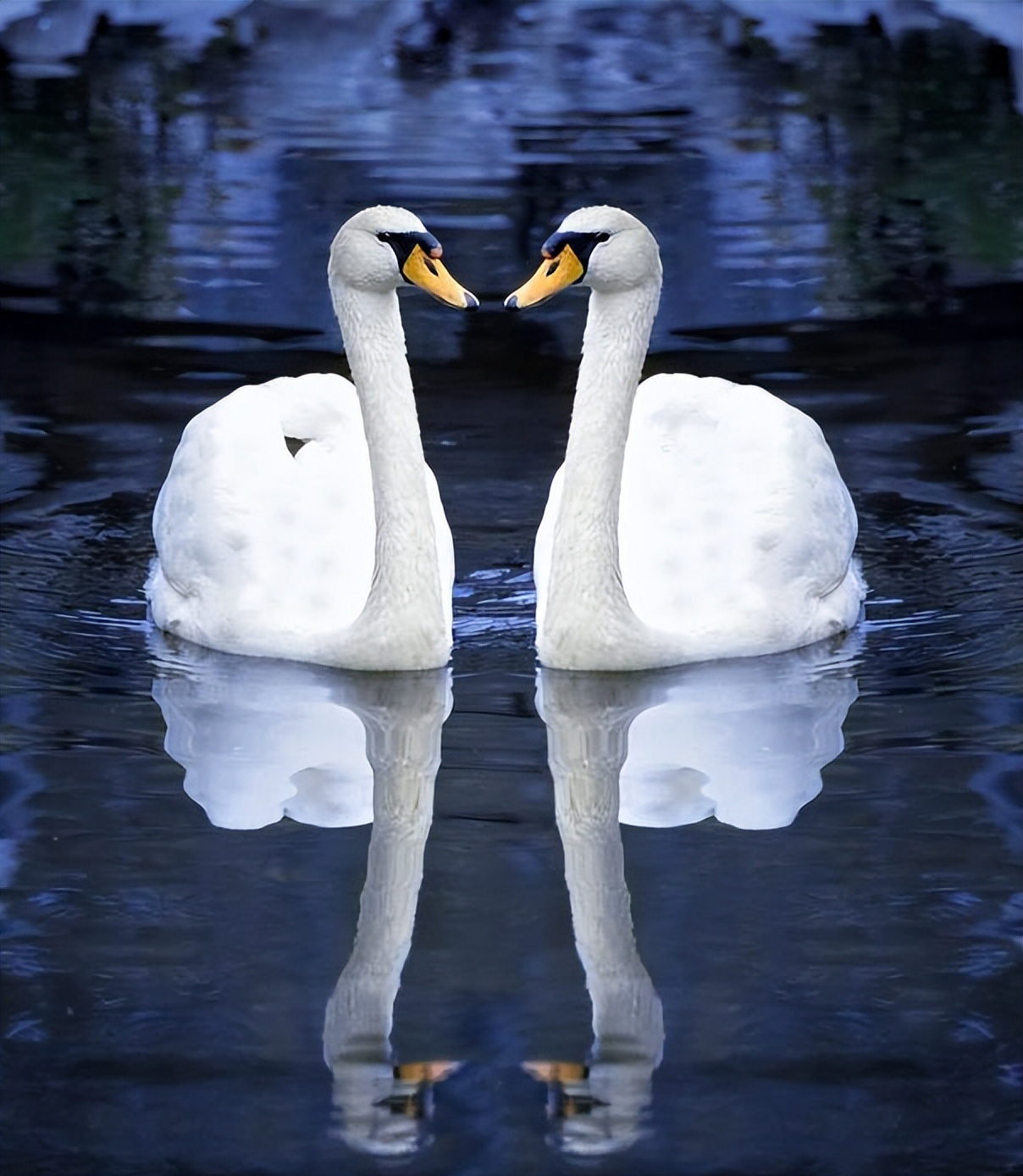 医美纠纷适用惩罚性赔偿吗,医美法律纠纷