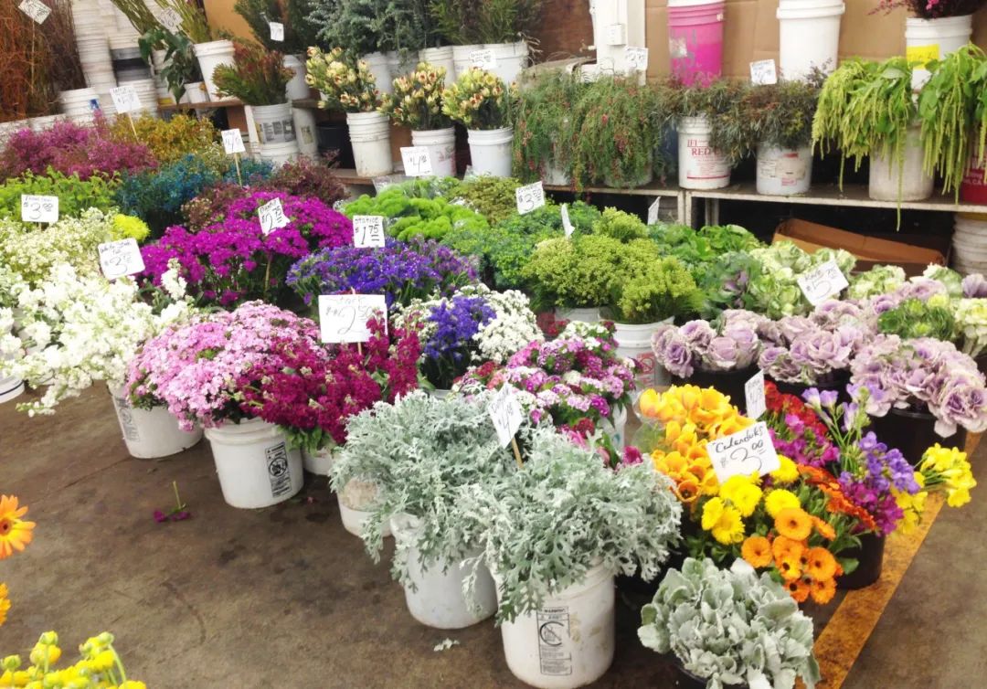 在西安花店兼职，我发现老板3天就卖了约20多万的花