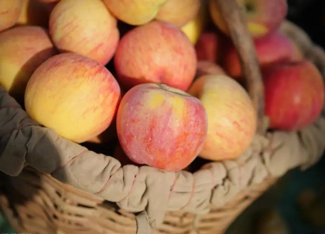 全国公认最好吃的苹果,什么苹果甜口感好吃又营养