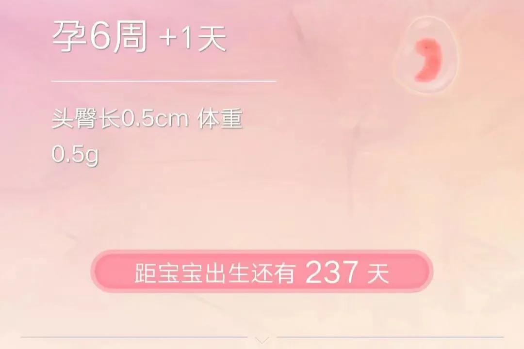 备孕三年成功，真的很想把我的这个路程分享给有需要的人